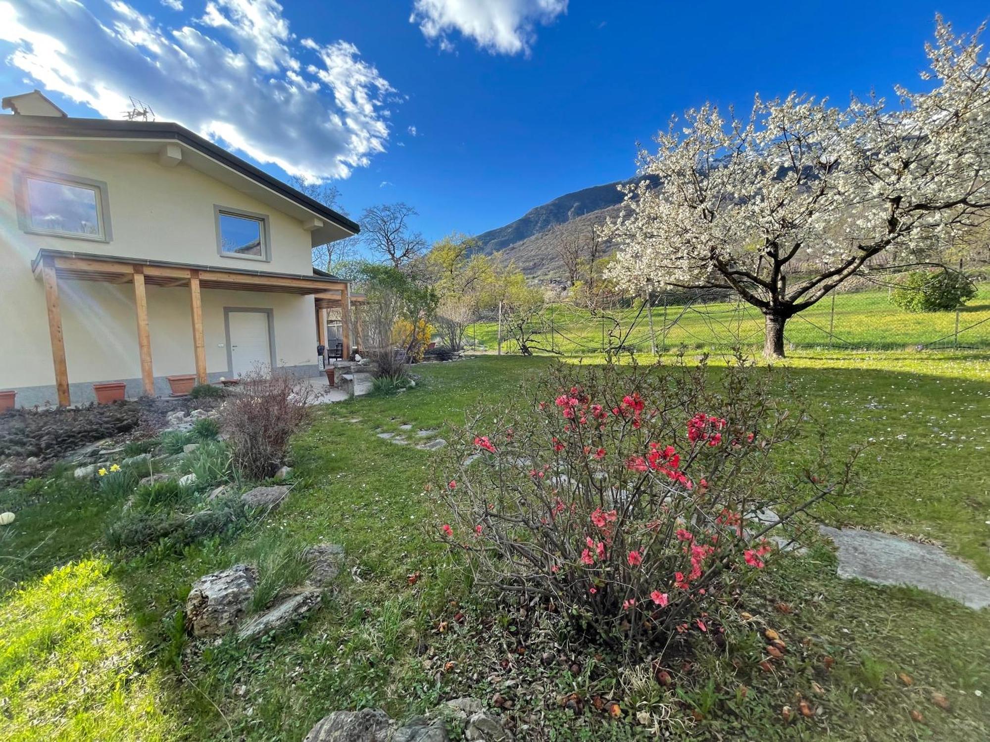 La Casina Di Oscar Ad Ao V Combe Vda Quart 0014 E 00I6 Lejlighed Eksteriør billede