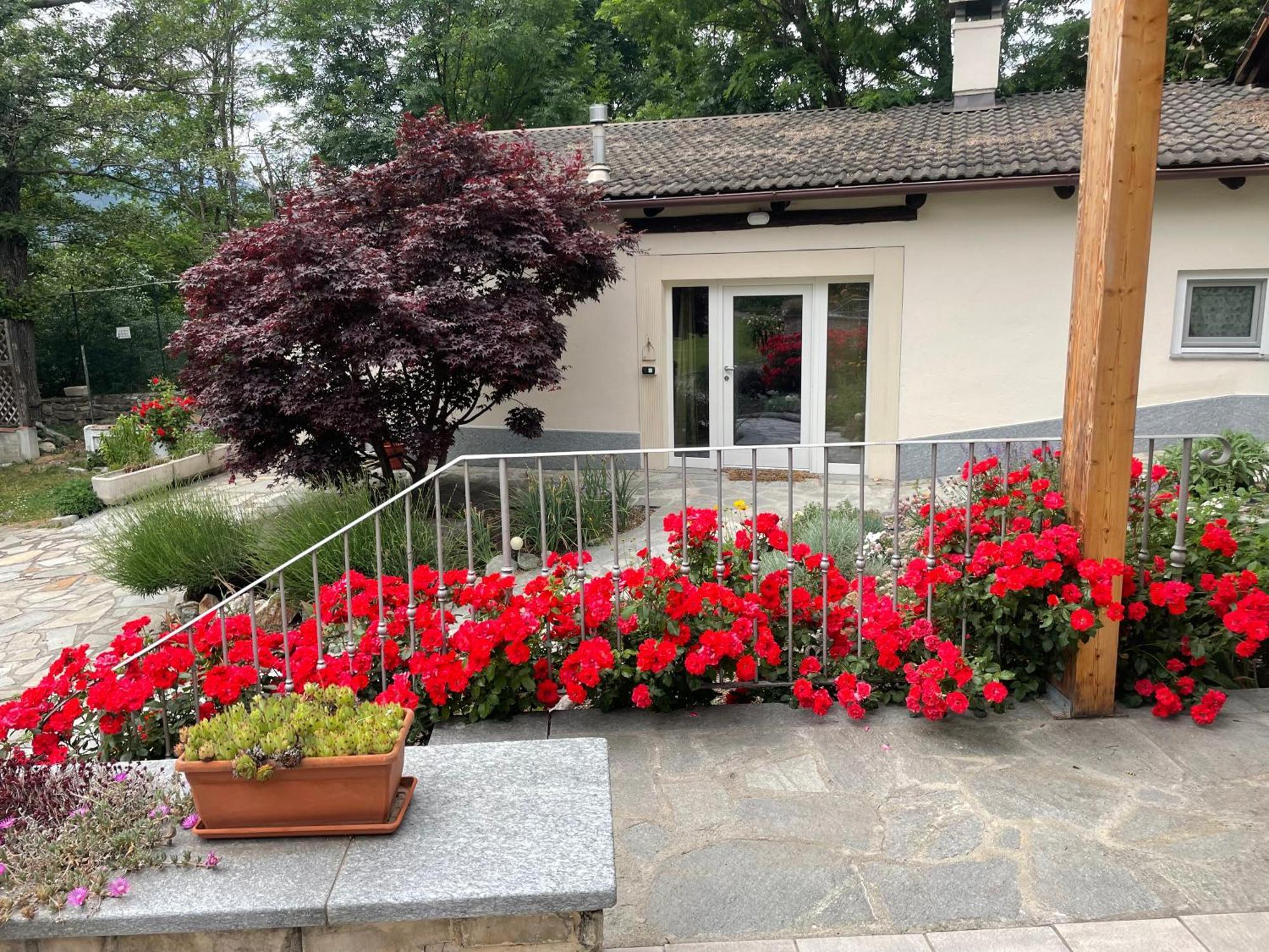 La Casina Di Oscar Ad Ao V Combe Vda Quart 0014 E 00I6 Lejlighed Eksteriør billede
